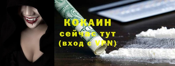 хмурый Гатчина