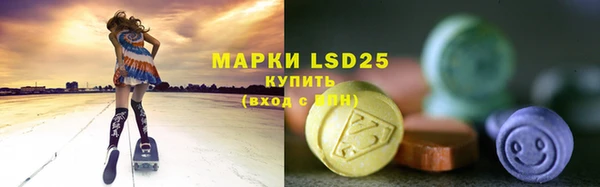 эйфоретик Белокуриха