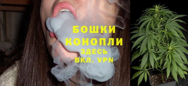 СК Галич