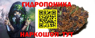 молекула духа Кандалакша