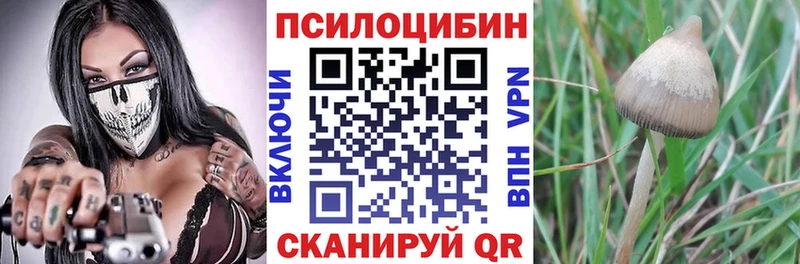 Галлюциногенные грибы GOLDEN TEACHER Малоярославец