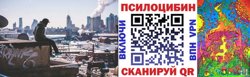 Галлюциногенные грибы Psilocybe  как найти закладки  Малоярославец 