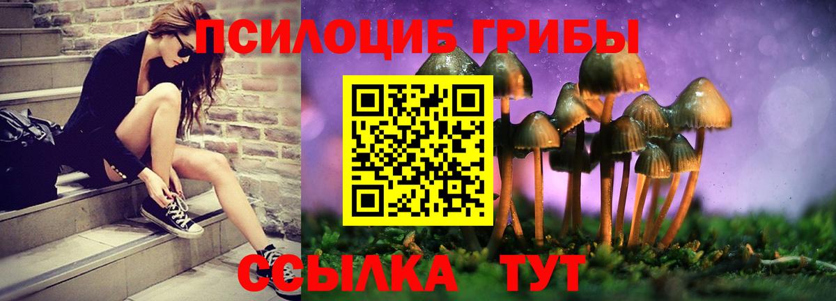 Галлюциногенные грибы мицелий  Вход с VPN  Галлюциногенные грибы Psilocybine cubensis  Малоярославец 