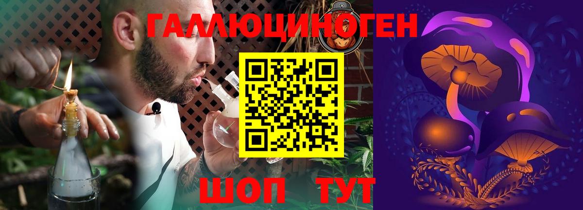 Галлюциногенные грибы мухоморы Малоярославец